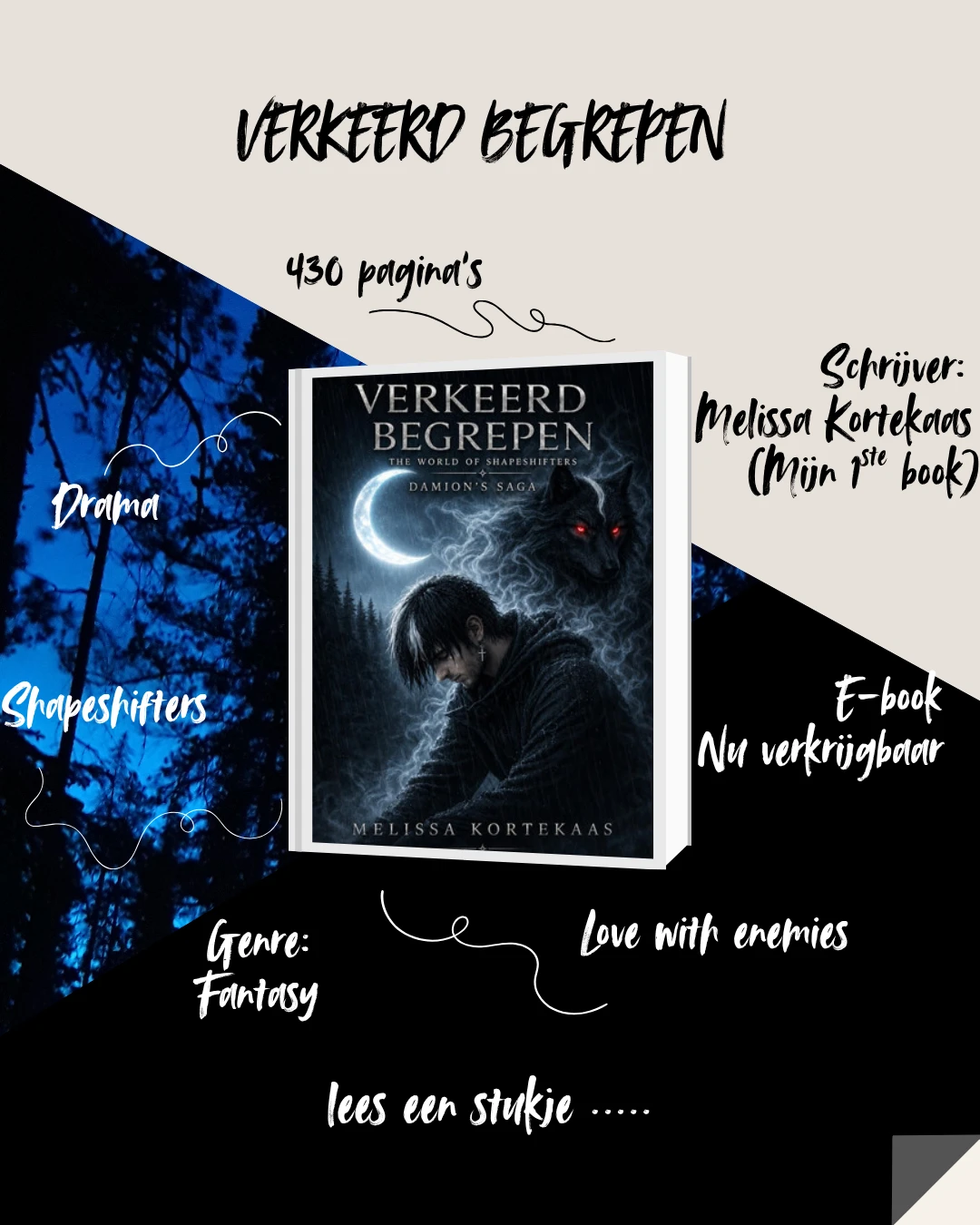 Promotiebeeld van Verkeerd Begrepen: fantasy, 430 pagina’s en een e-bookvermelding