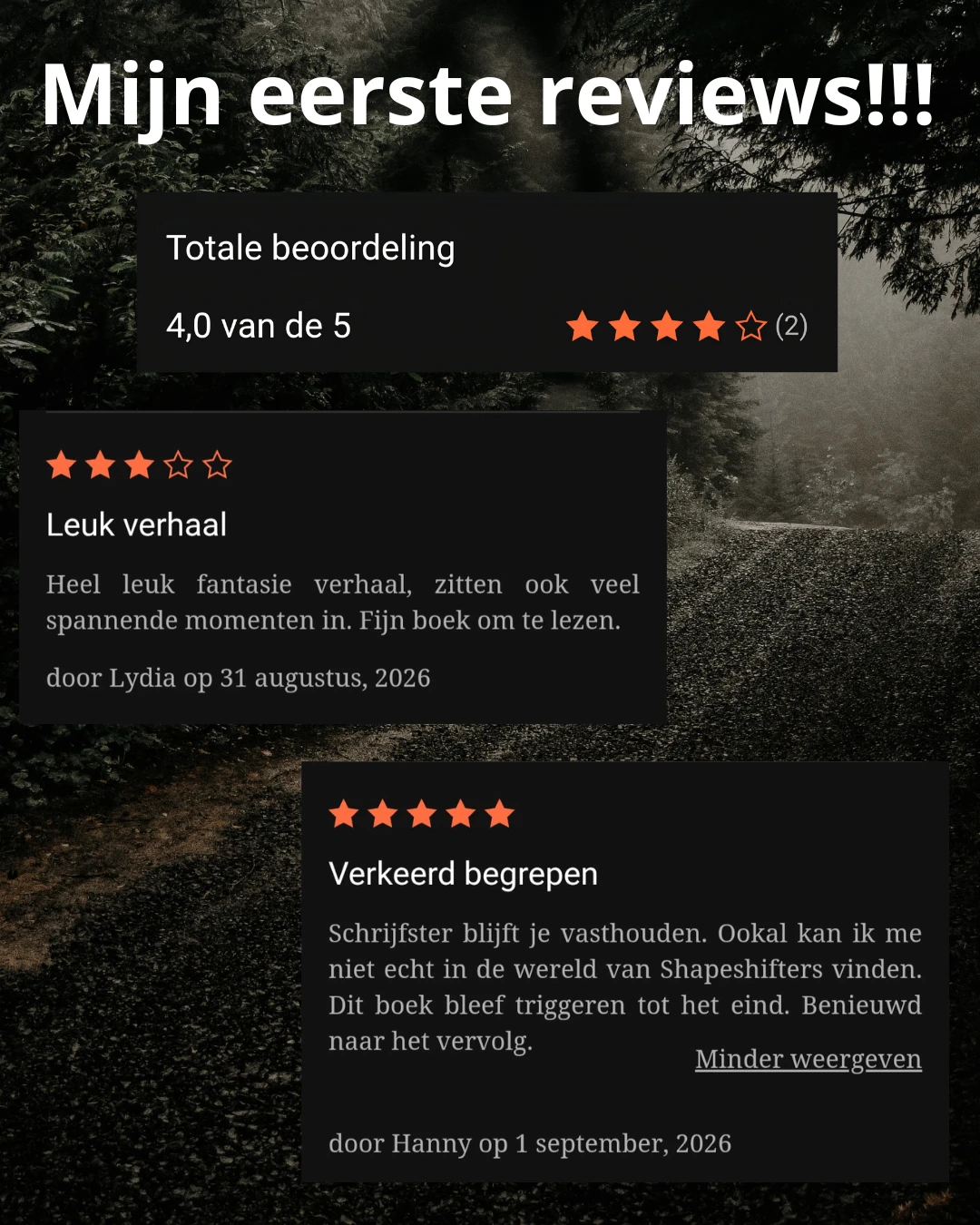 Collage met de hierboven uitgeschreven reviews van Lydia en Hanny en hun gemiddelde van 4,0 uit 5