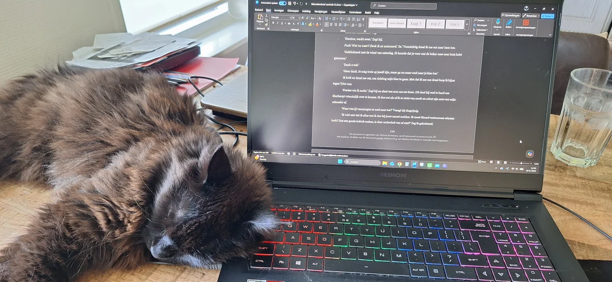 Een kat ligt naast de laptop met haar kop op het verlichte toetsenbord